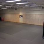 tatsu_dojo